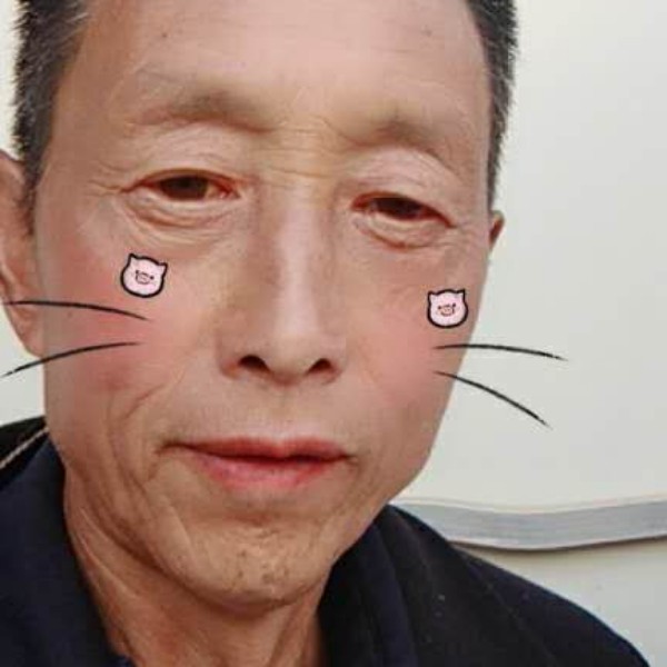 王者之尊的照片