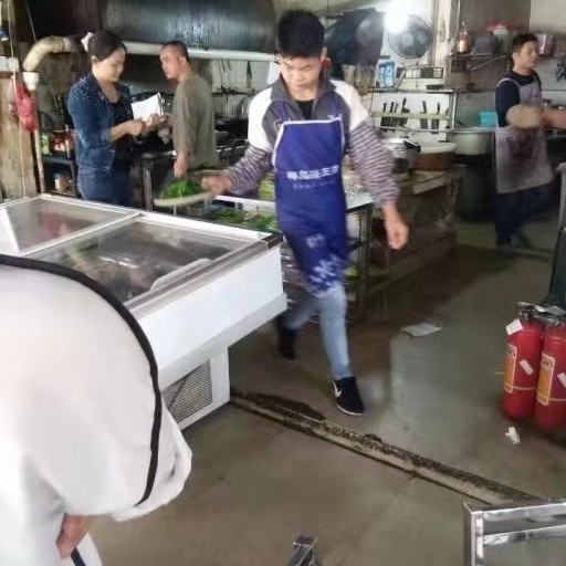 南鸢聪明的照片