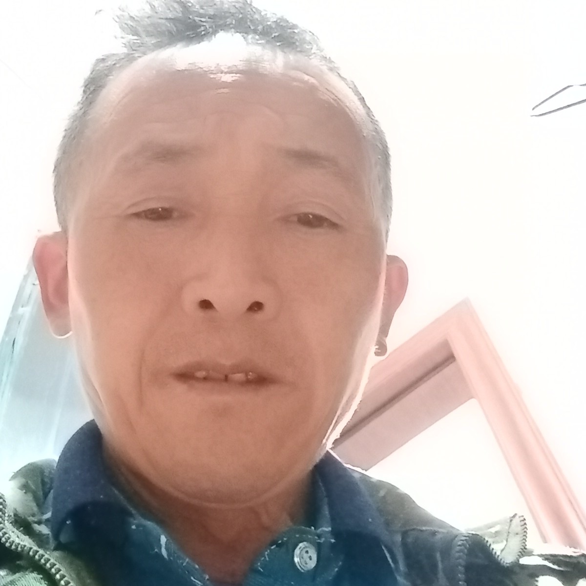 飘逸玫瑰坚苦一生的照片