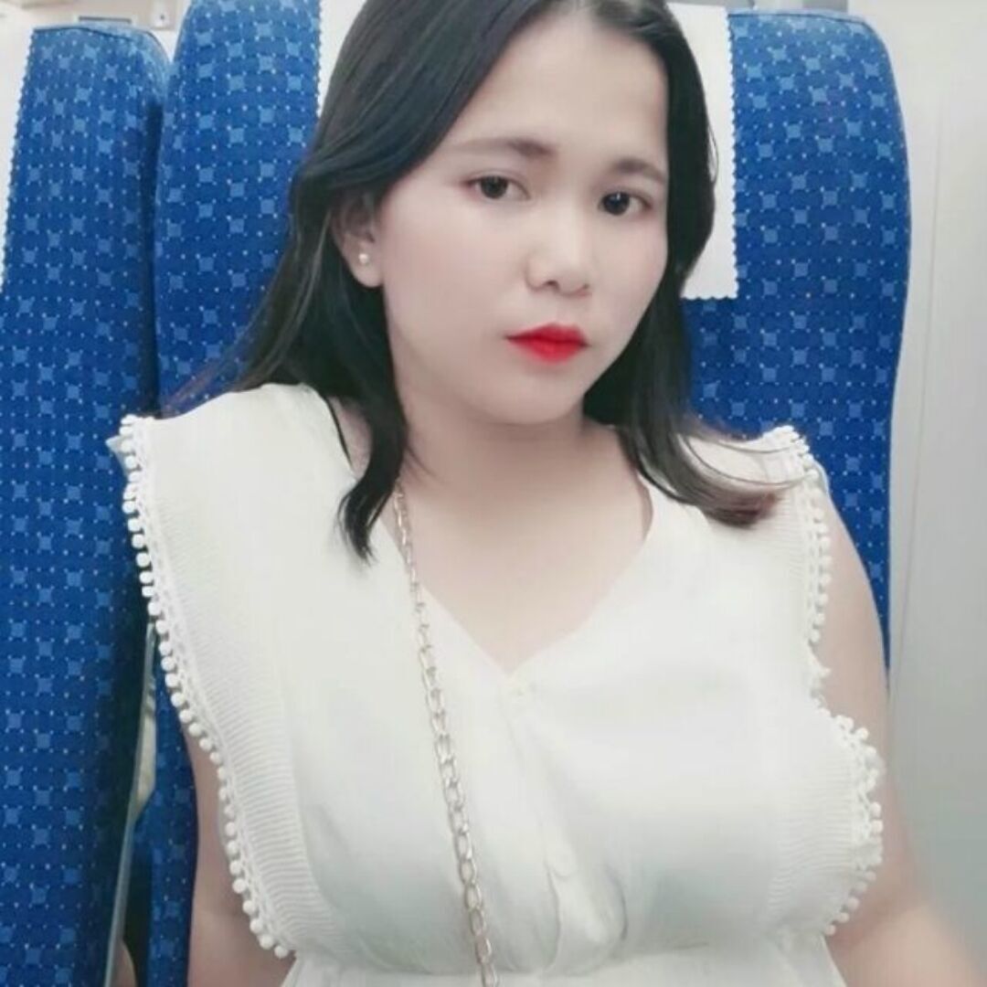 小海豚蹁跹感性的照片
