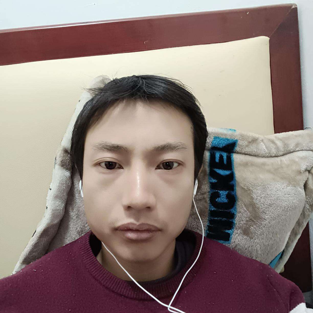 太阳和专一的照片