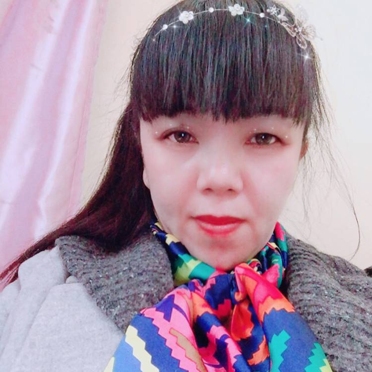 小燕子往北飞的照片