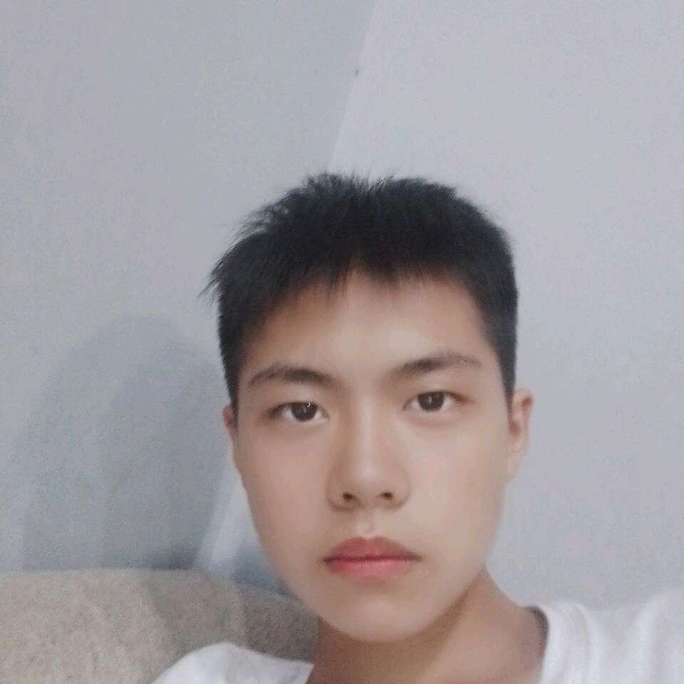 刺猬保卫真淳的照片