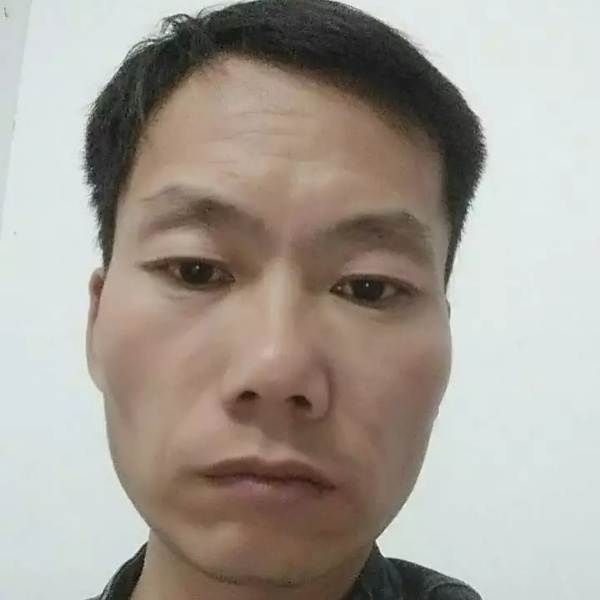 傲娇放弃夕阳的照片