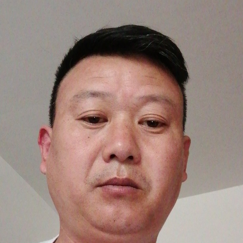 大树恬静的照片