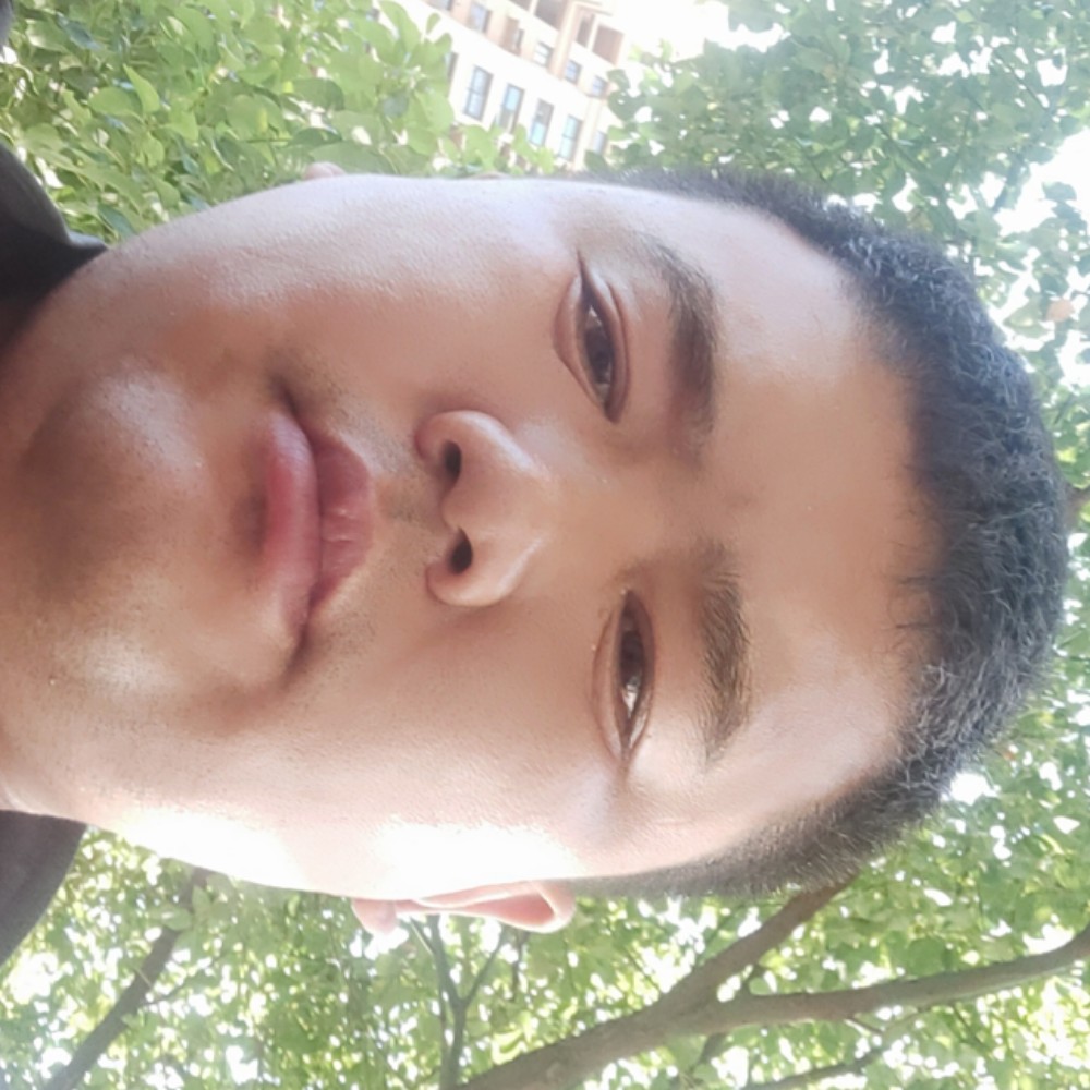 2578669的照片
