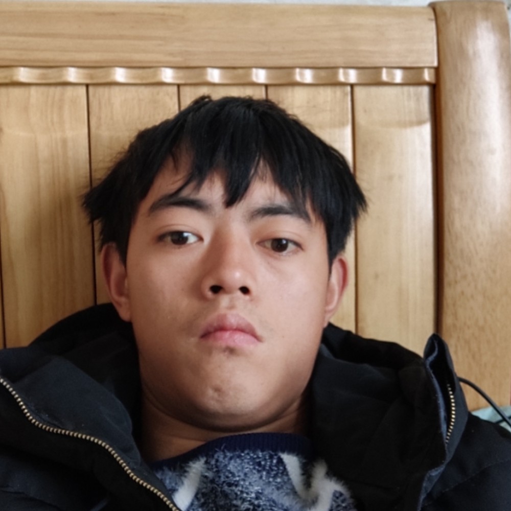 小鸽子单薄的照片