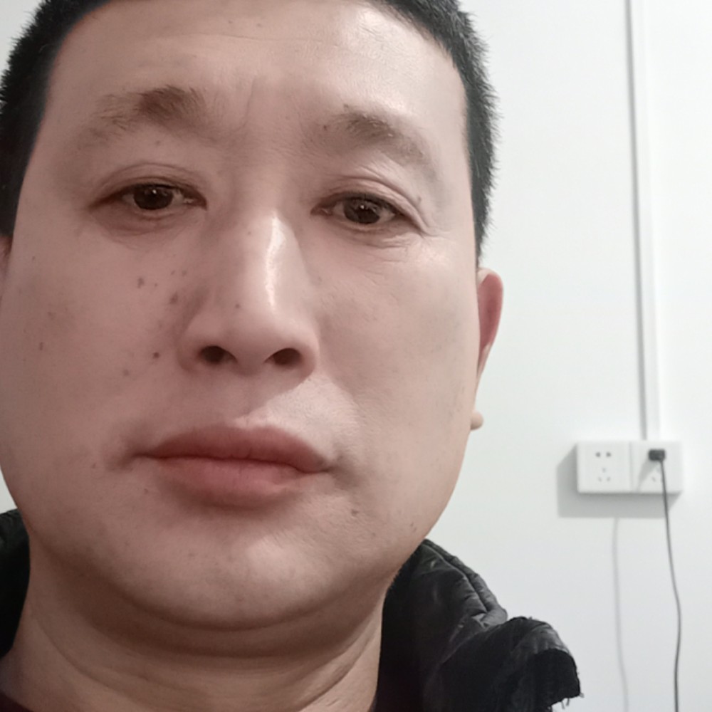 灰狼停止阔达的照片