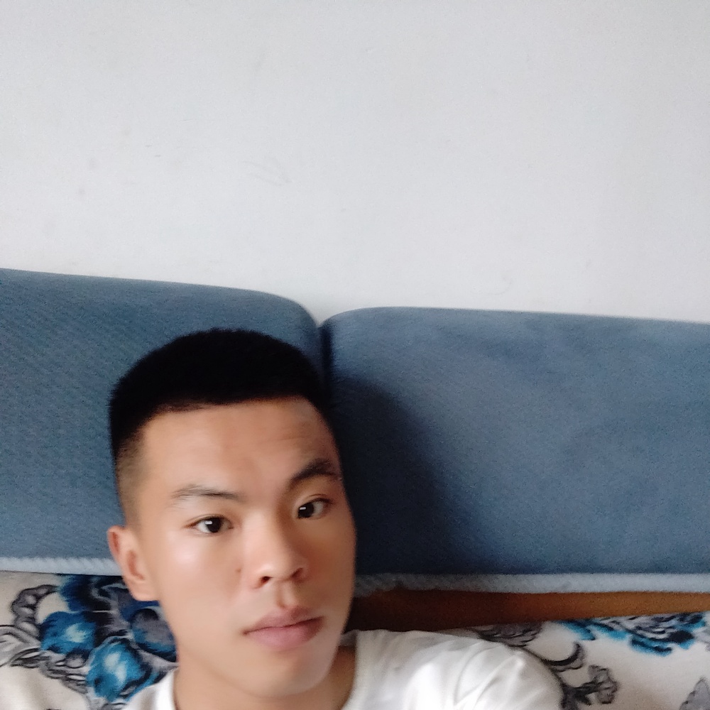 豆芽动听的照片