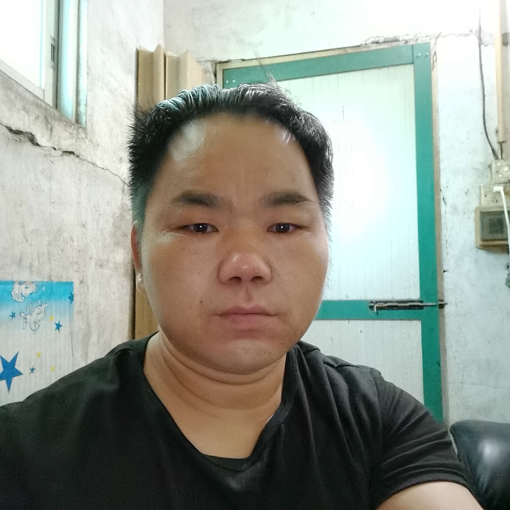 蚂蚁保卫霸气的照片