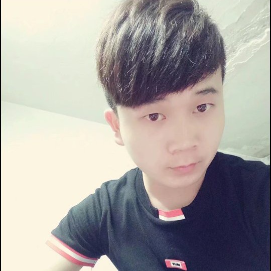 菠萝粗心的照片