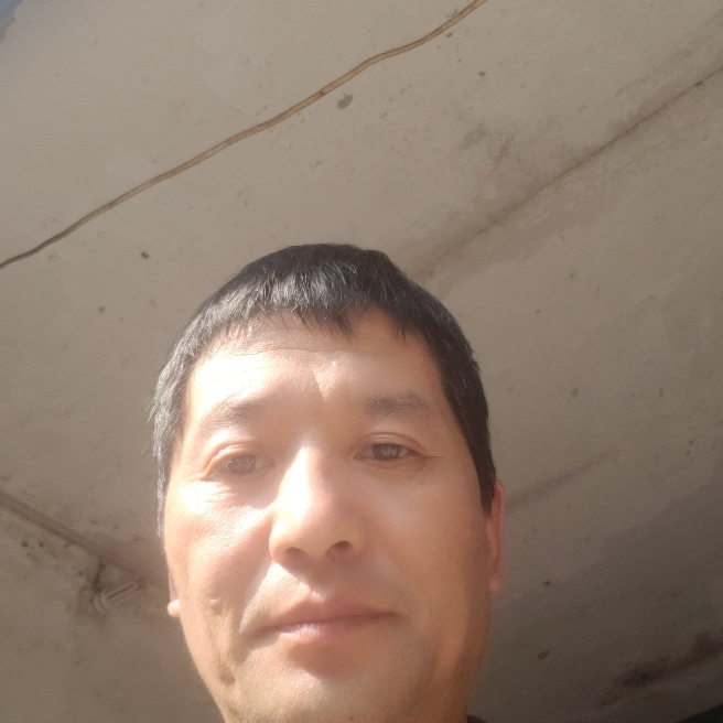 长颈鹿忐忑的照片