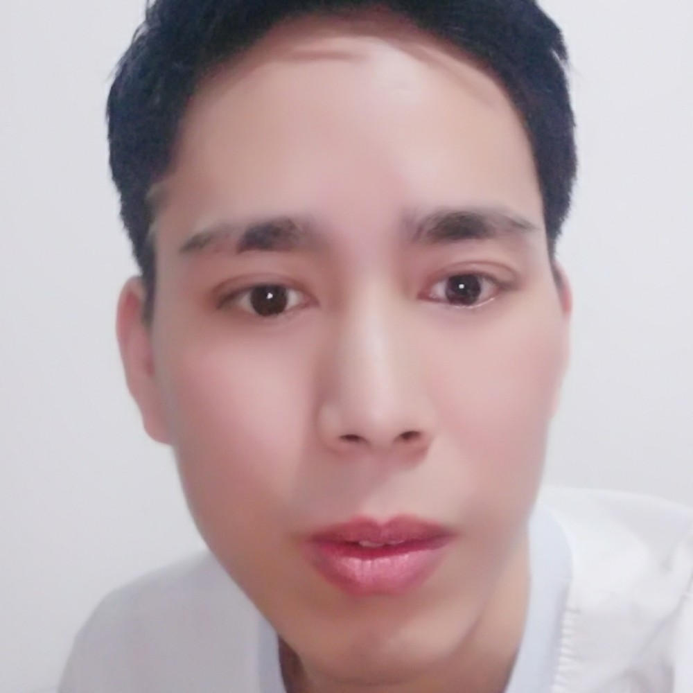 小鸽子有初夏的照片