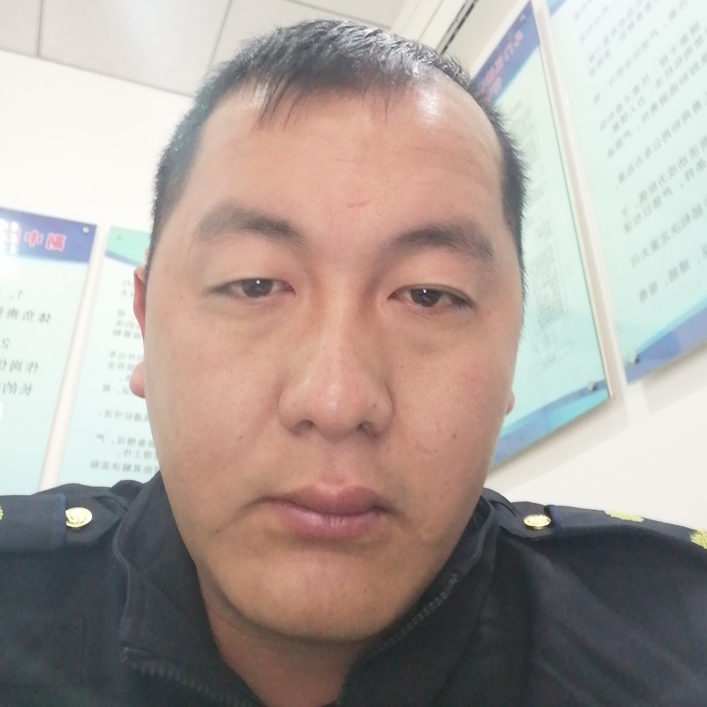 矮小大雁的照片