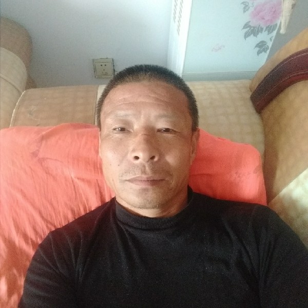 激情蜜蜂的照片