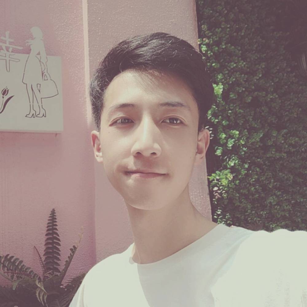 鲨鱼归大海的照片