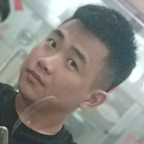 绝影蹁跹精明的照片