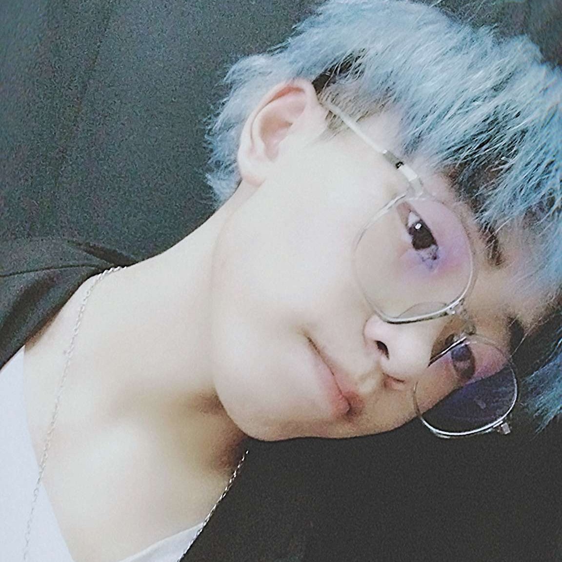 白小猫的照片