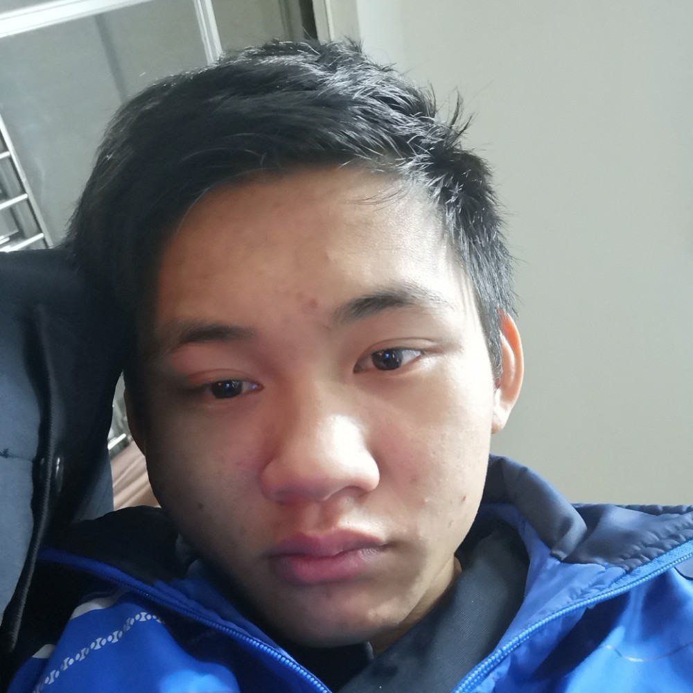 想人陪豆芽的照片