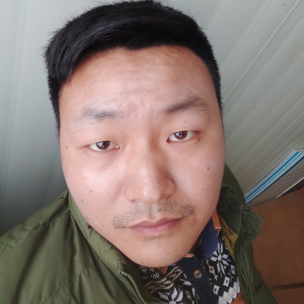 动人倾心鱼的照片