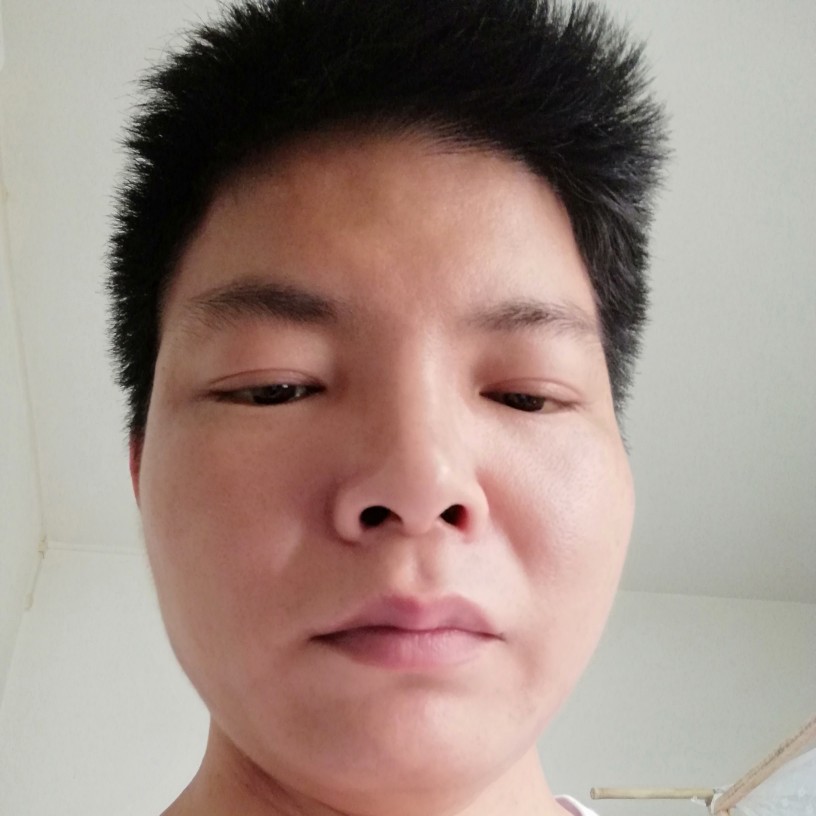大象安静的照片