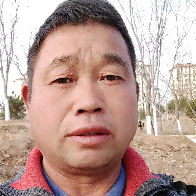 淡淡晨曦你好的照片