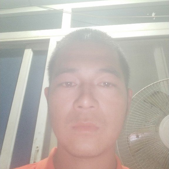 聪慧的雪碧的照片