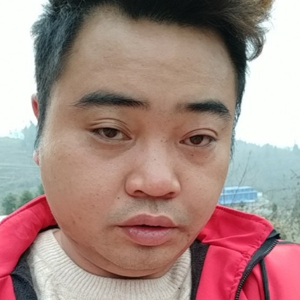取了的照片