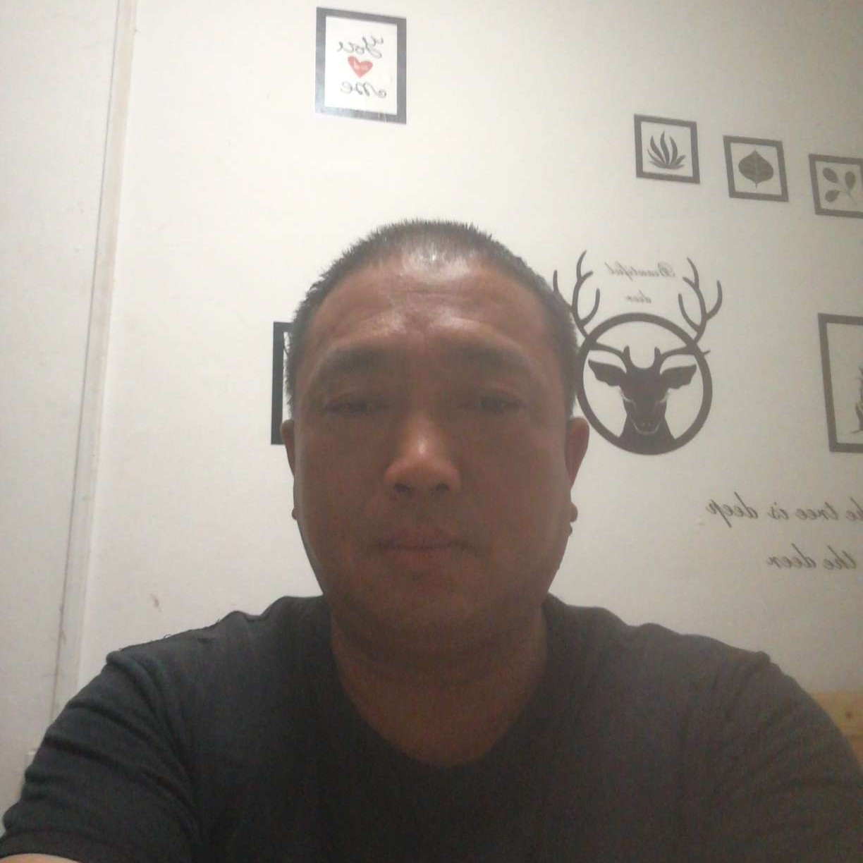 高原之鹰的照片