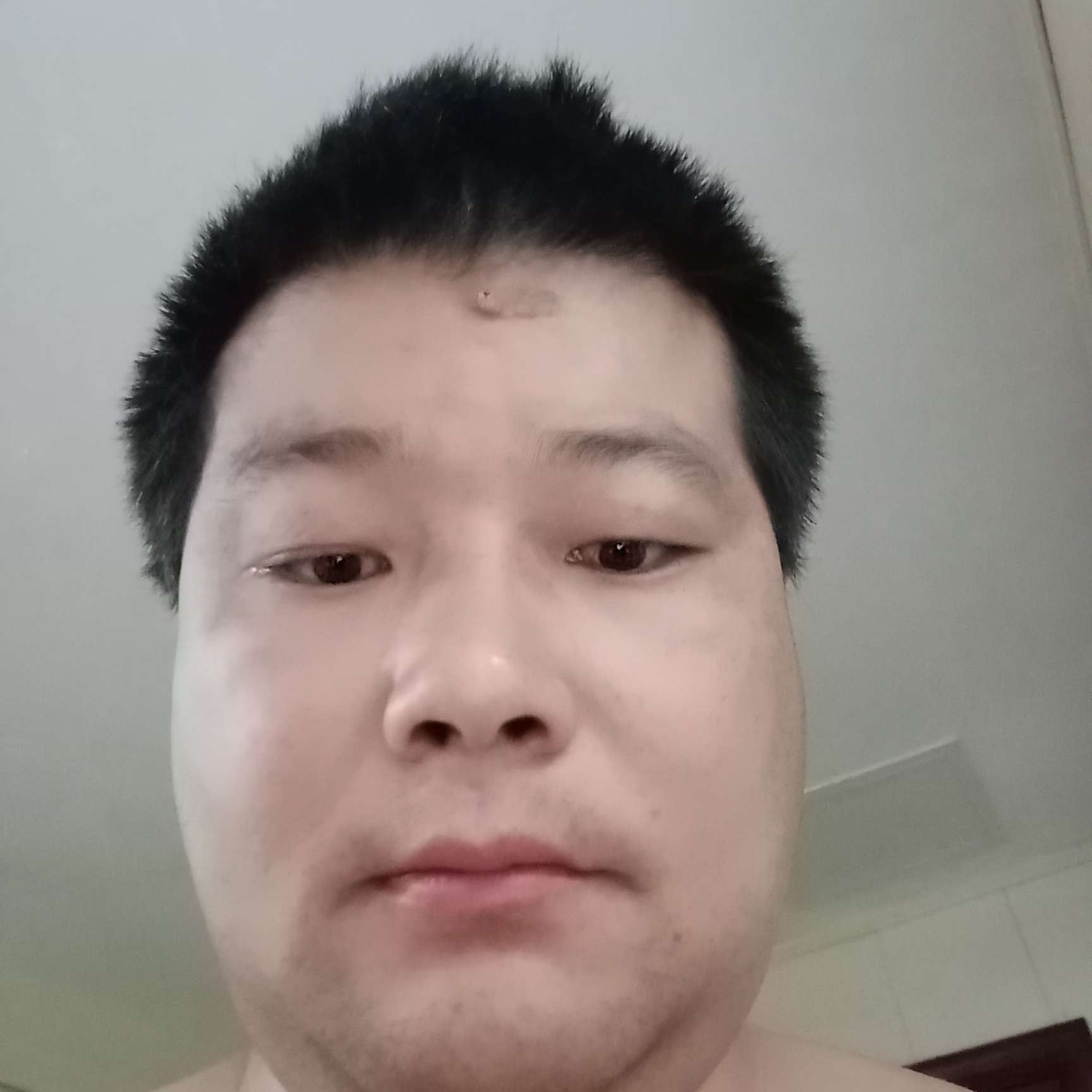 小鸽子回首呆萌的照片