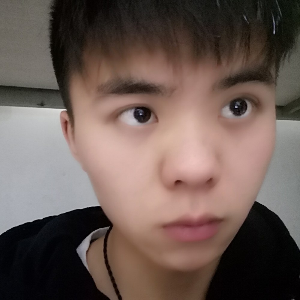 也许风会停的照片