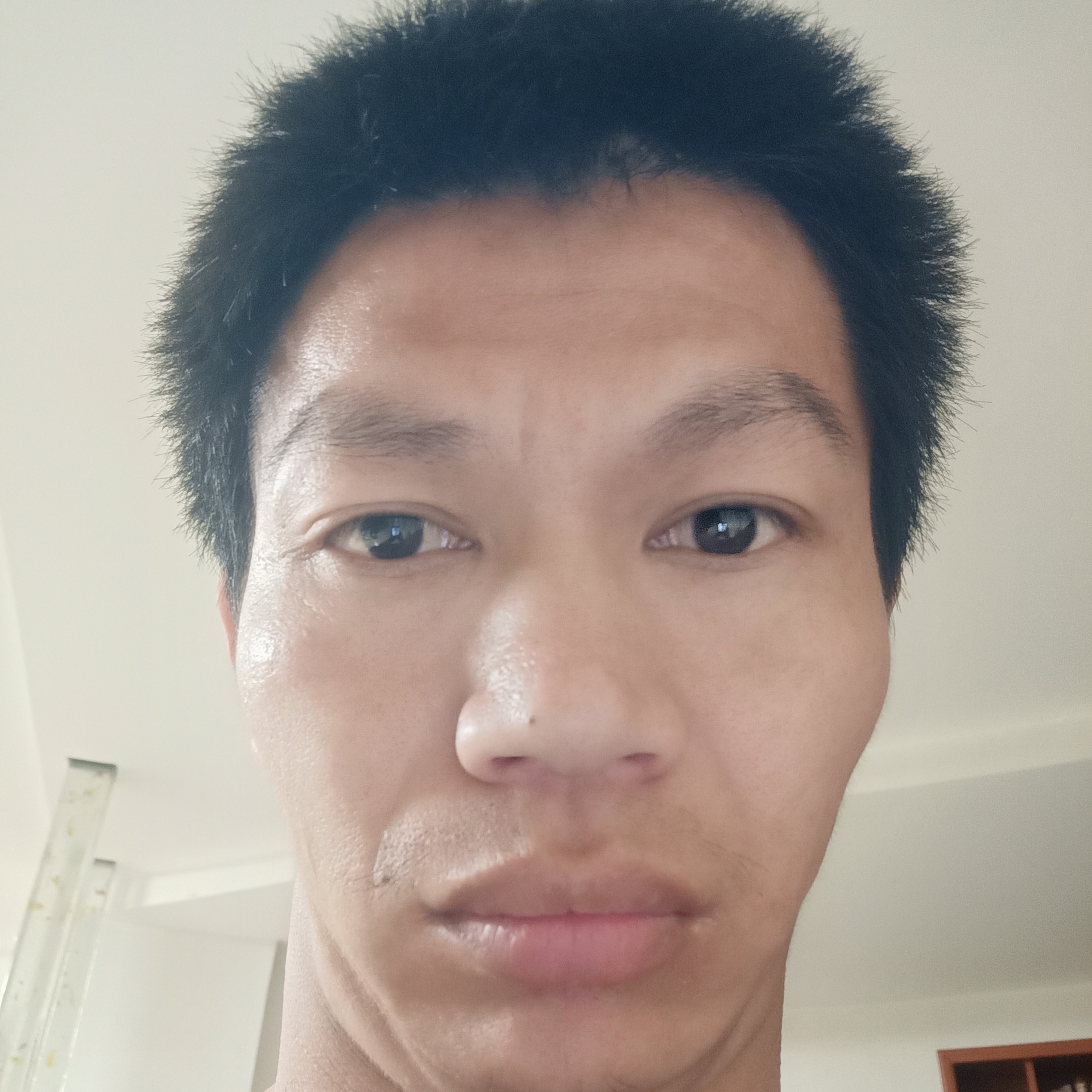 龙海石马的照片