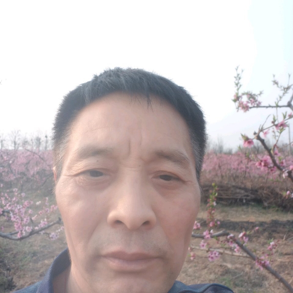 奇迹怕孤单的照片