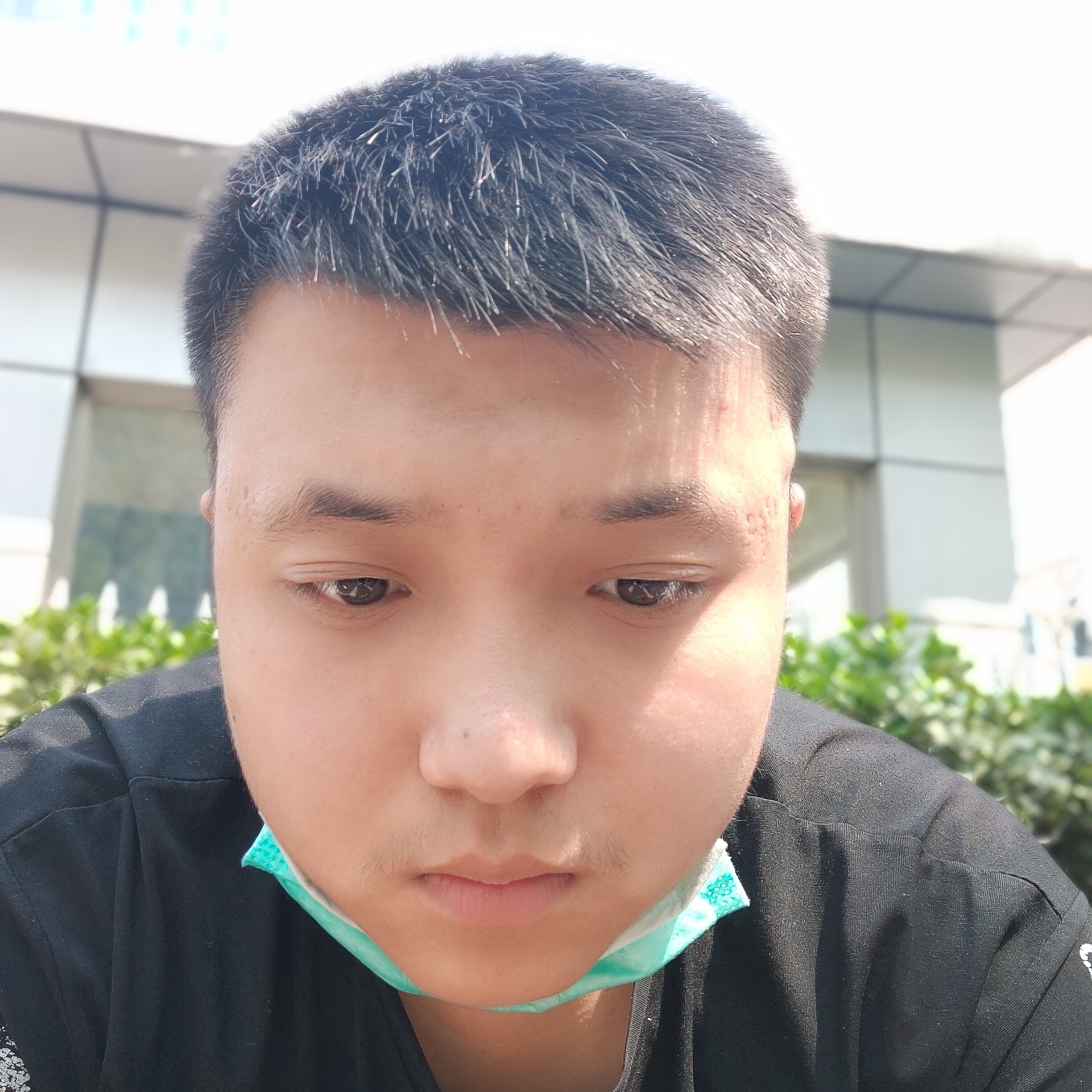 土土狗的照片