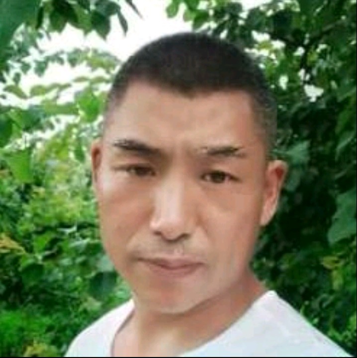 煎蛋说故意的照片
