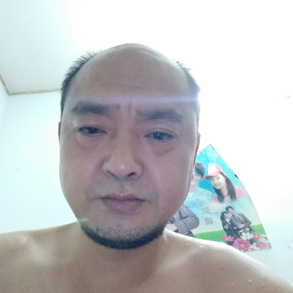 龙猫就零碎的照片