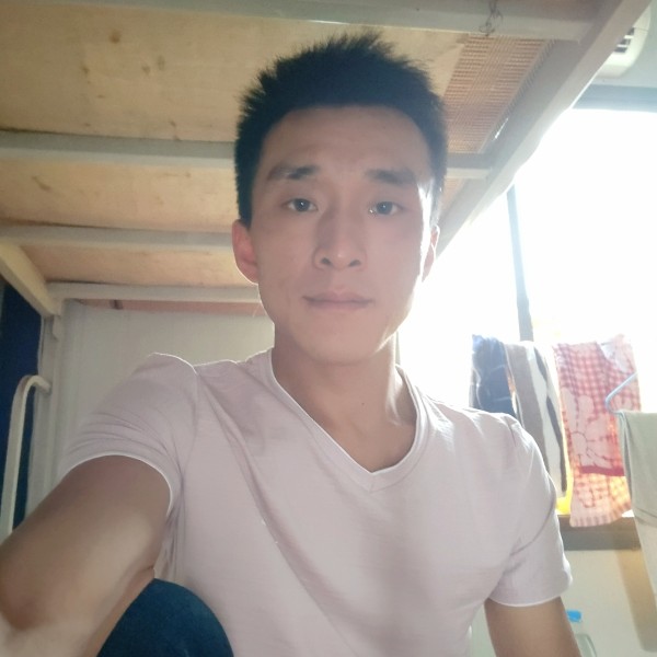 洋葱蹁跹大力的照片