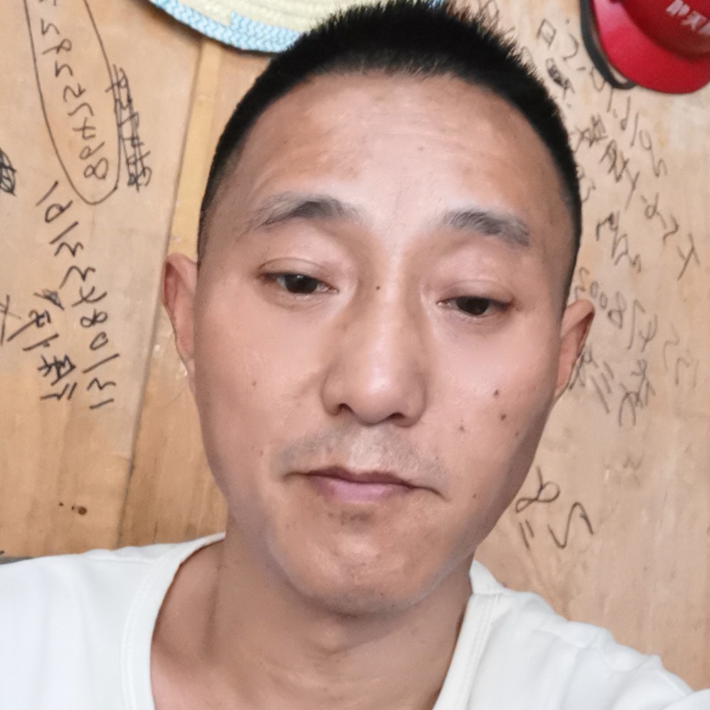 不听话的倾心母鸡的照片