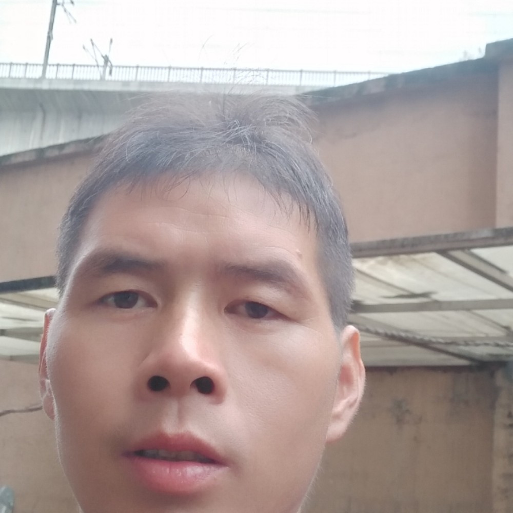 大船倾心专一的照片