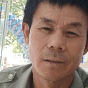 绿草迎标致的照片