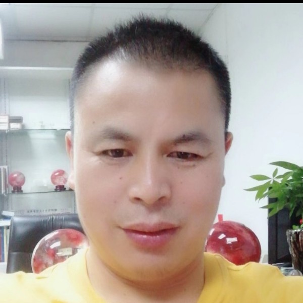 优雅苦恋红玫瑰的照片