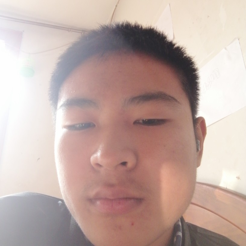 翩飞苦恋小猫咪的照片