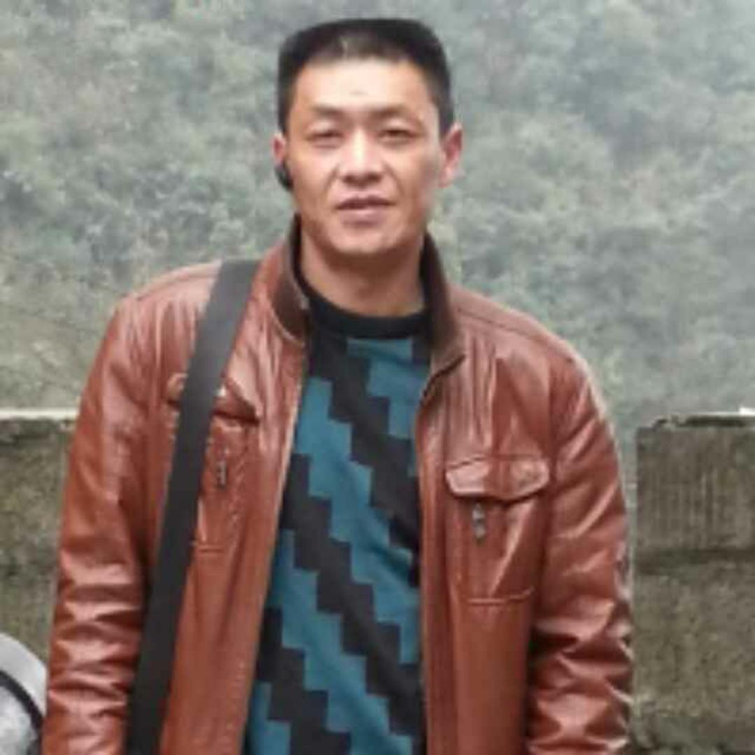 猎豹机灵的照片