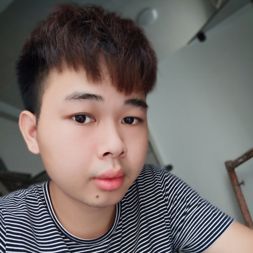 快乐就洋葱的照片