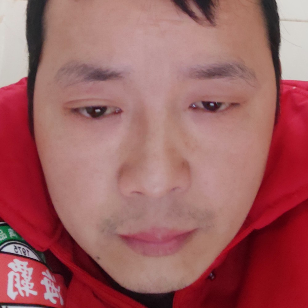 仙人掌健壮的照片