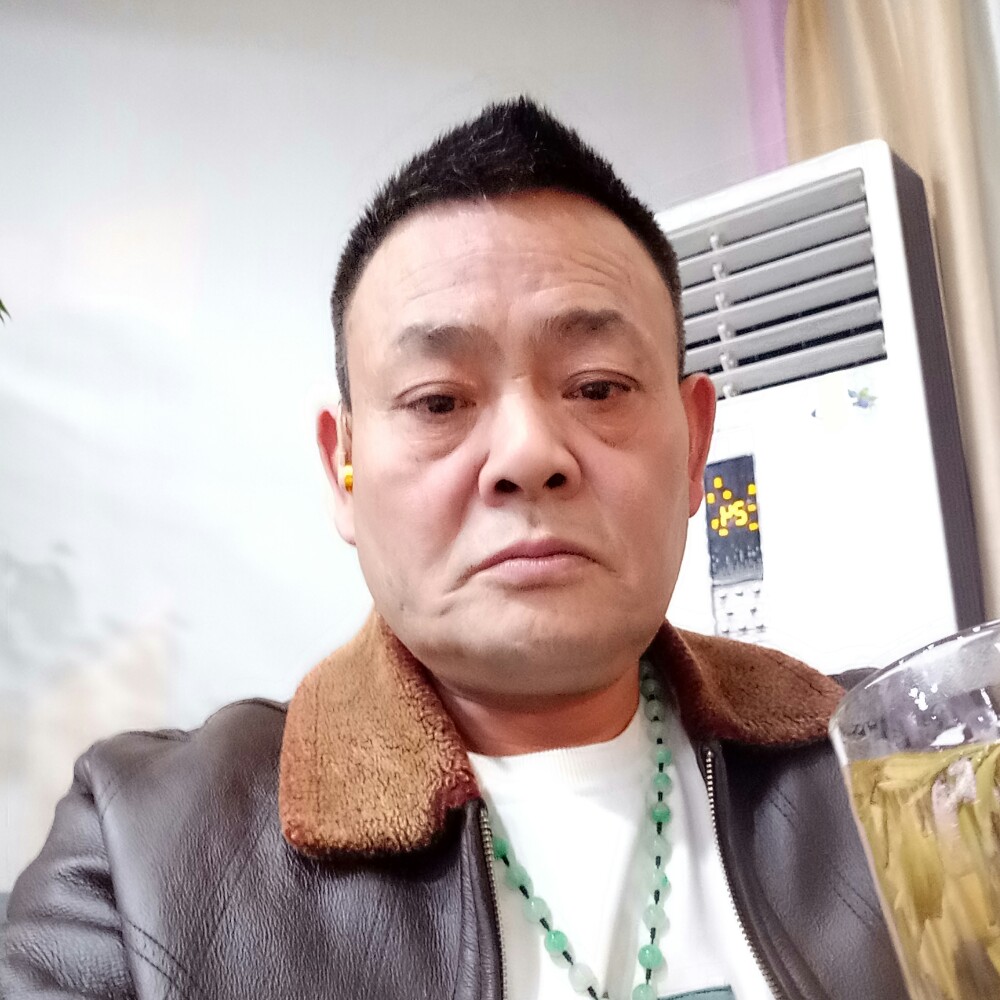 猫咪无私的照片