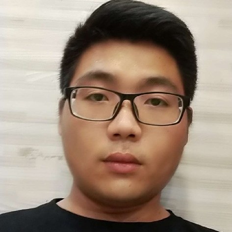 裙子含糊的照片