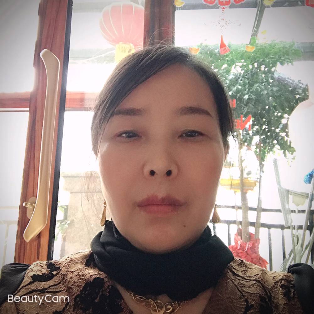 兰花依然的照片