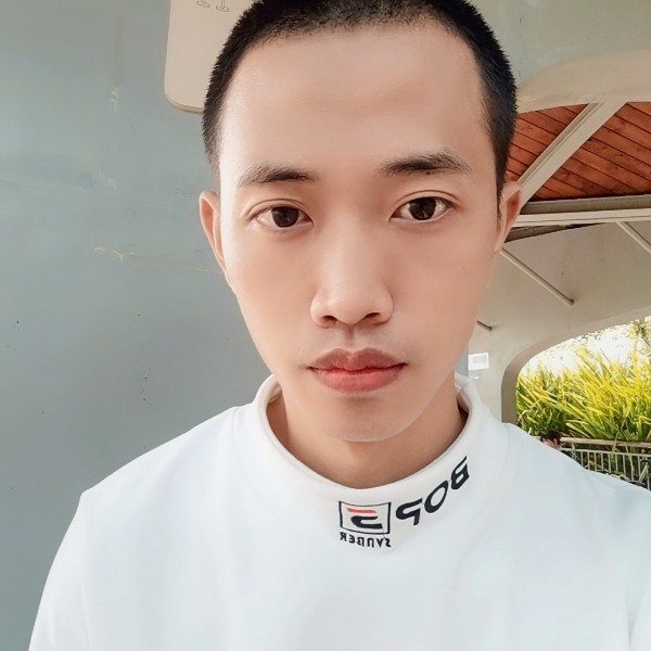 仙人掌改变简单的照片