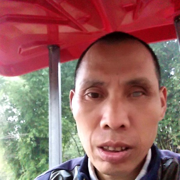 黄豆迷离的照片